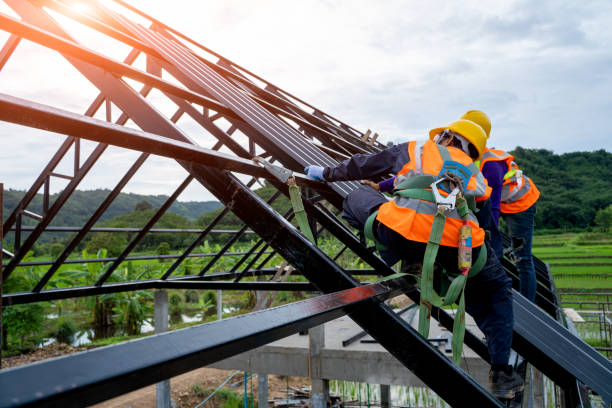 Best Local Roofing Companies  in Muhlenberg Rk, PA